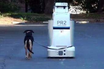 Fel is takarít a kutya után az ebsétáltató robot 