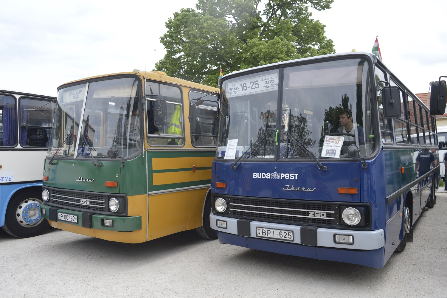 Felsorakoztak a magyar buszgyártás kincsei 32