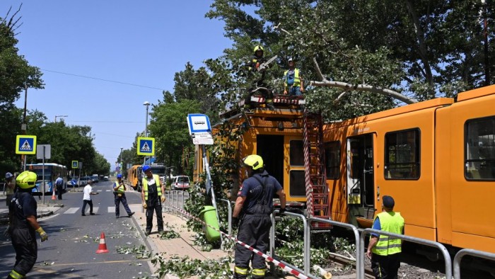 Fa dőlt a villamosra Kőbányán, két sérült 3