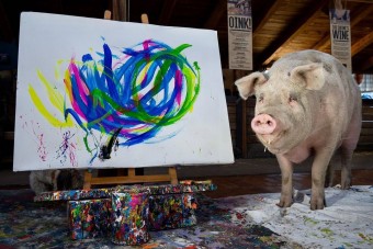 Vagyonokat fizetnek egy disznó festményeiért