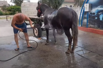 Autómosóban spriccelte le a lovát egy férfi Romániában