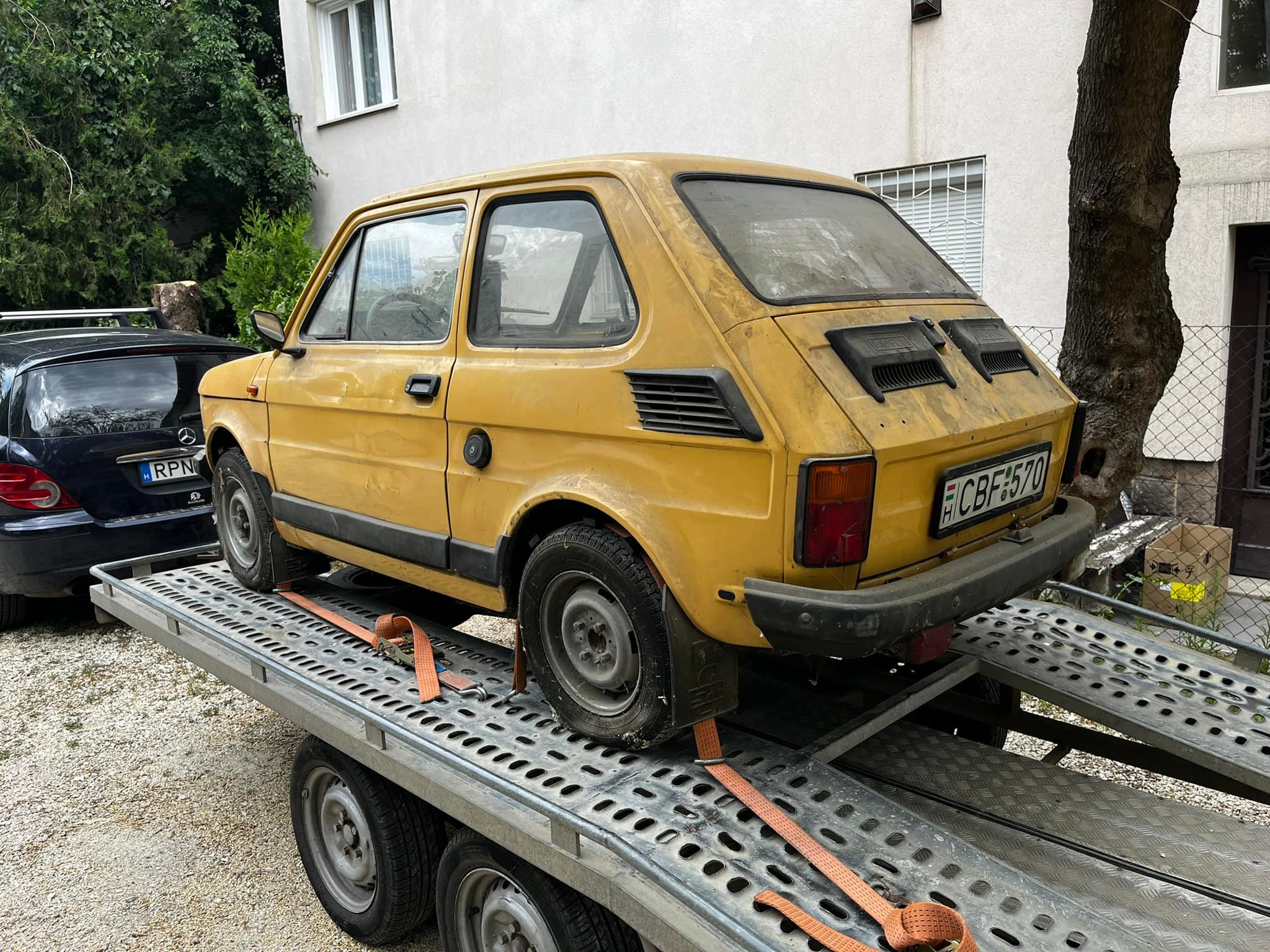 Csodás Kispolskit találtak egy magyar garázsban 1