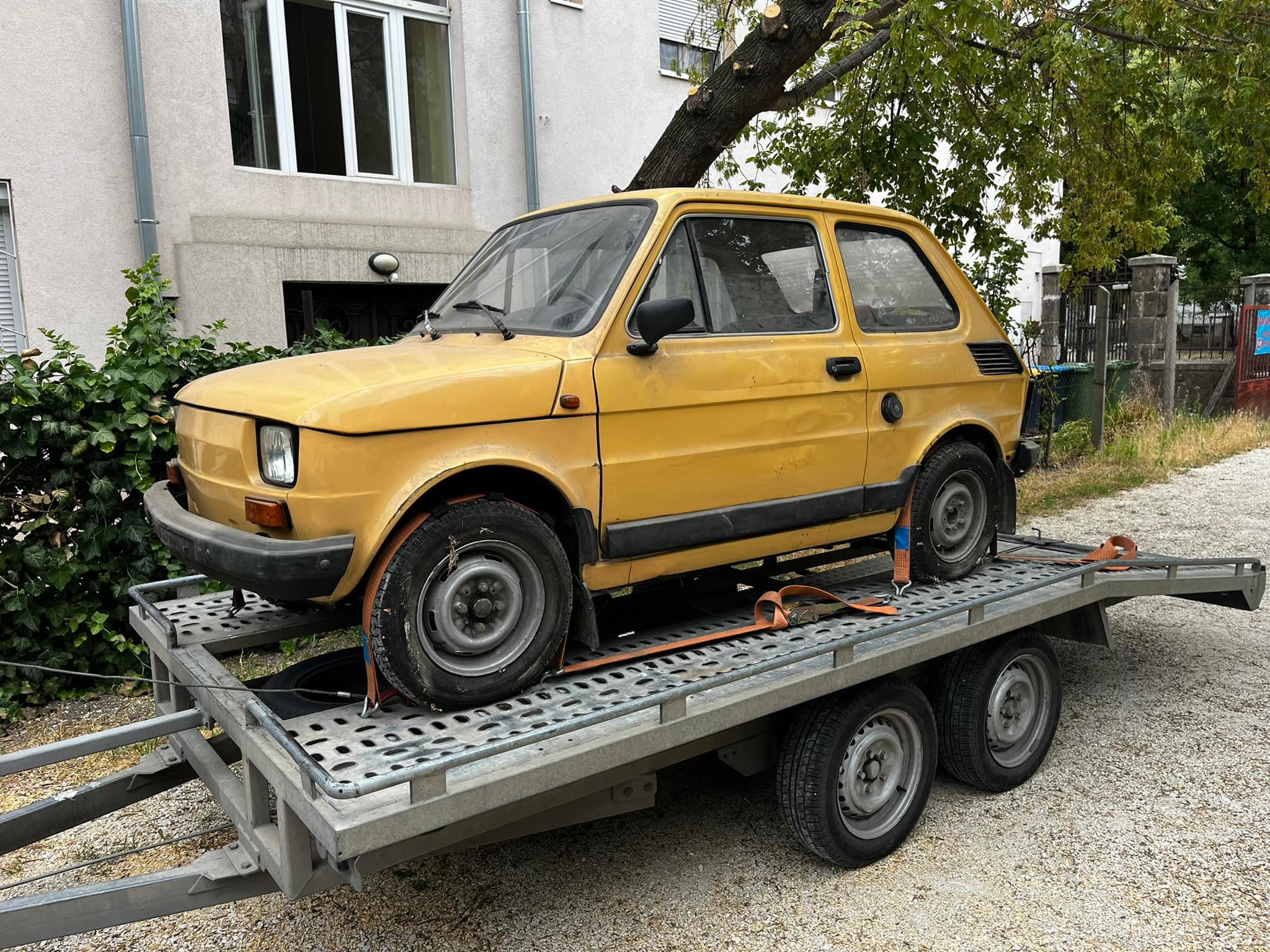 Csodás Kispolskit találtak egy magyar garázsban 2