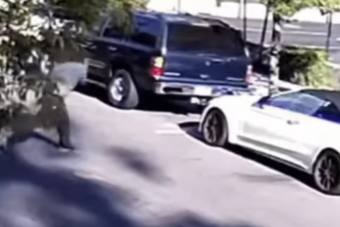 Addig volt kemény a kővel Mercedest dobáló vandál, amíg nem jött a tulajdonos