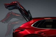 Kutya miatt ütötte ki a csomagtérajtó, perre megy 2