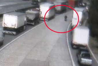 A sor mellett suhant el egy motoros az M0-son, aztán jött a fájdalmas találkozás