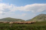 Ha elfogy a benzin, itt égjen el az utolsó cseppje 59