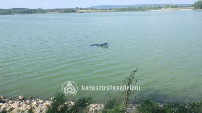 Csak a BMW csomagtartója látszott ki a Fehérvárcsurgói-víztározóból 1 | Vezess Csak a BMW csomagtartója látszott ki a Fehérvárcsurgói-víztározóból 1