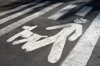 Meg kell zabálni – forgalomirányítónak állt a kóbor kutya!