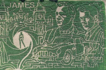 James Bondot ünnepli a világ legnagyobb kukoricalabirintusa