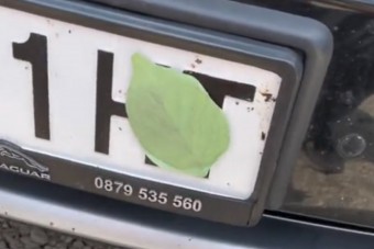 Agyrobbantó a neten terjedő rendszámtrükk