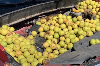 Ezért nyissuk fel a motorháztetőt, ha sokáig áll az autónk
