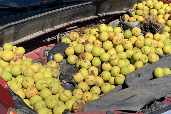 Ezért nyissuk fel a motorháztetőt, ha sokáig áll az autónk
