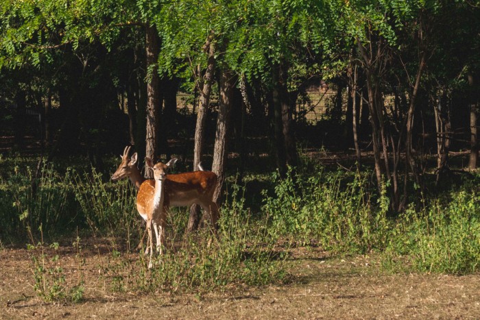 Luxuskempingezést kínál vásárlóinak az autómárka 7