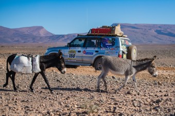 Egy csávó kannából árulta a benzint, reggelre odacsináltak mellénk a kecskék