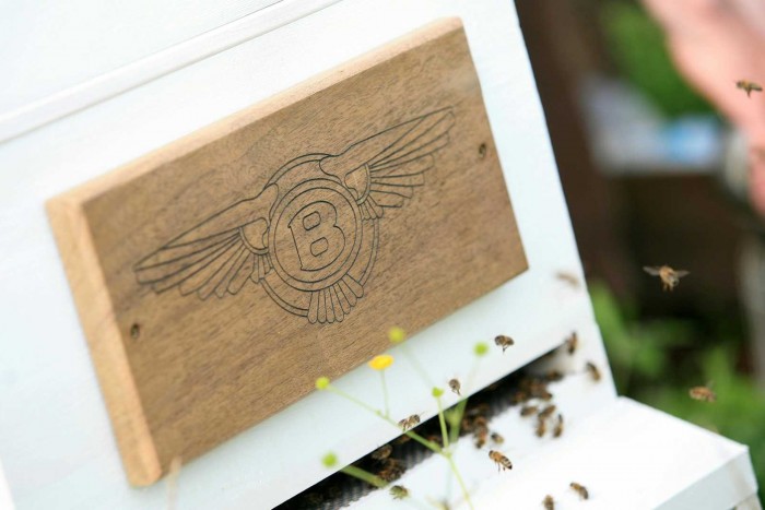 A Lamborghini mézet is termel, de hozzájutni szinte lehetetlen 3