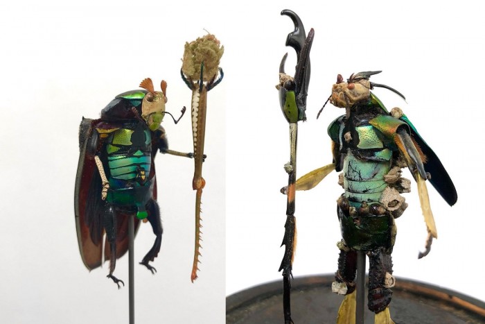 Rovartetemekből készít látványos harcosfigurákat egy művész