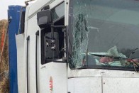 Újból elkapták a teherautóst, aki múlt héten már kiverte a biztosítékot az M7-esen 1