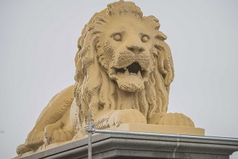 Titokzatos oroszlán bukkant fel Budapesten