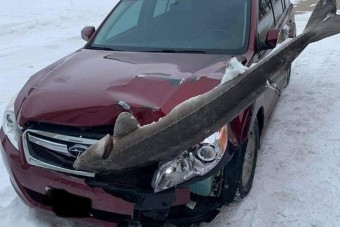 10 fotó Oroszországból, amitől dobtunk egy tigrisbukfencet