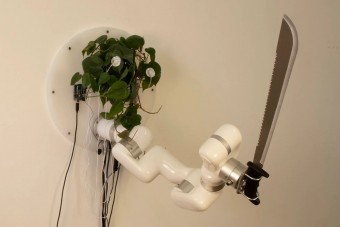 Bizarr látvány, ahogy egy növény irányít egy macsétát