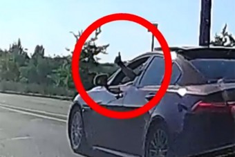 Miatta karamboloztak Budapesten, erre gratulált nekik, és elhúzta a csíkot