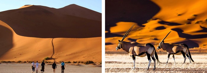 Egy budapesti lakás árával vetekszik a világ legdrágább szafarija 3 | Vezess Egy budapesti lakás árával vetekszik a világ legdrágább szafarija 3