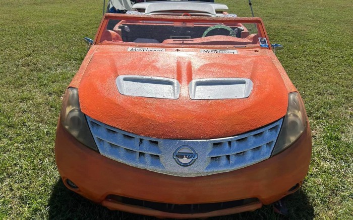 Melós platósból lett napfényimádó, guruló tepsi 1