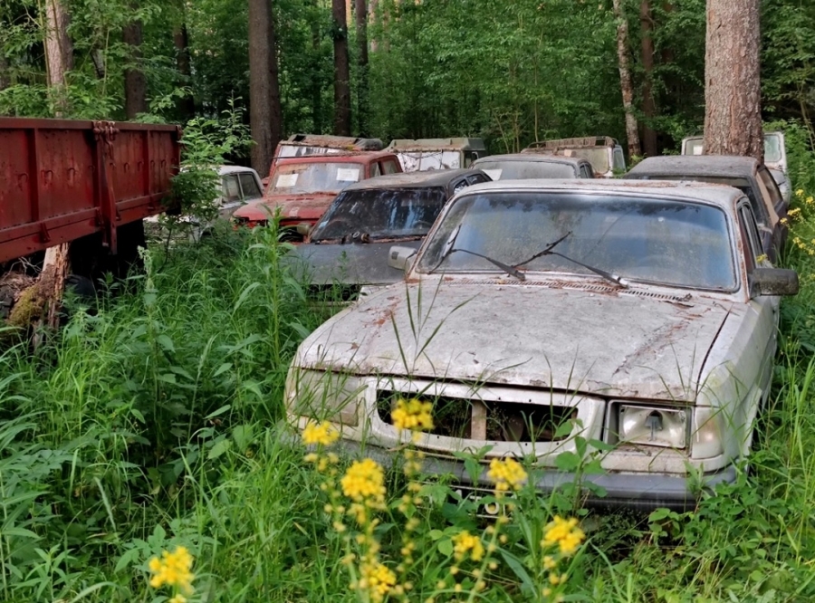 Orosz autók temetőjét találta meg egy túrázó az erdőben 2