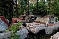 Ez az erdő tele van elhagyott autókkal – sokkoló a látvány 2