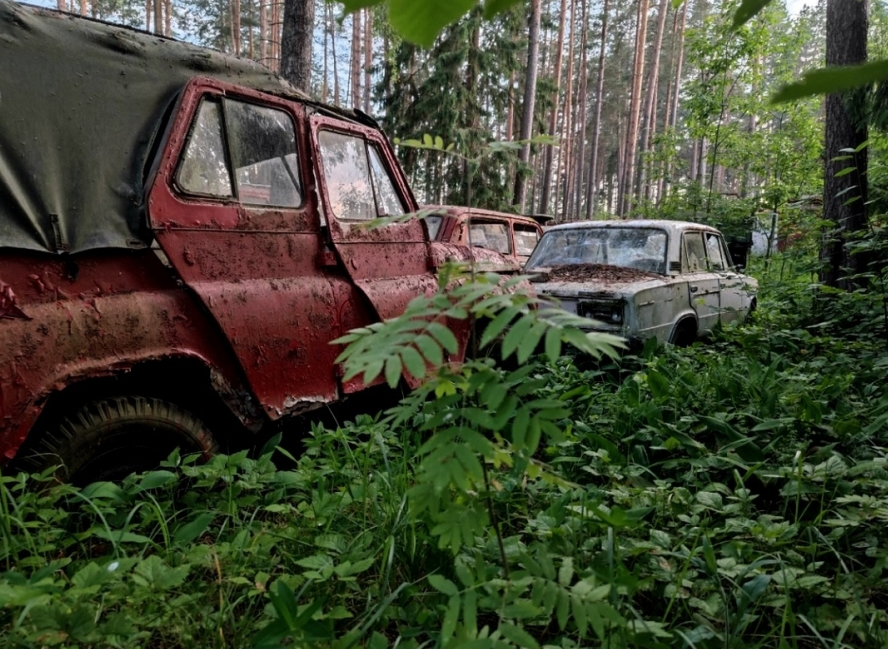 Orosz autók temetőjét találta meg egy túrázó az erdőben 3