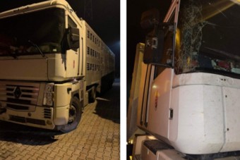 Újból elkapták a teherautóst, aki múlt héten már kiverte a biztosítékot az M7-esen