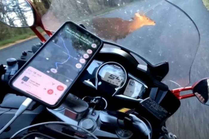 Kétszer lepődött meg a motoros, aki őzet kapott telibe