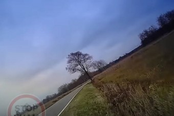 Egy pillanatnyi figyelmetlenség elég volt telibe találni az út széli fát