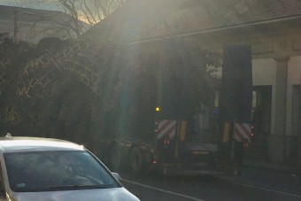 Három sávot is elfoglalt Budapesten, akkora az ország új karácsonyfája