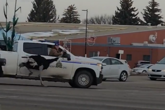 Struccoknak köszönhető az év legbizarrabb autós üldözése