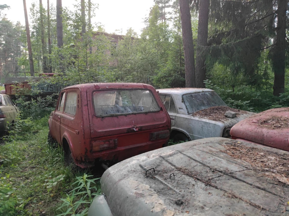 Orosz autók temetőjét találta meg egy túrázó az erdőben 1