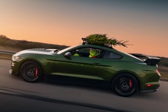 Videón 2022 leggyorsabb karácsonyfája