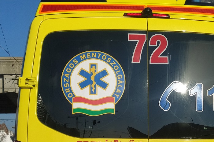 Darázs okozott csúnya balesetet Veszprémnél