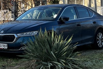 Nyomdafestéket nem tűrő rendszám egy hazai Škodán