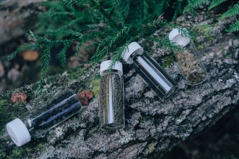 Viszik az emberek a hernyókaki-teát, mint a cukrot