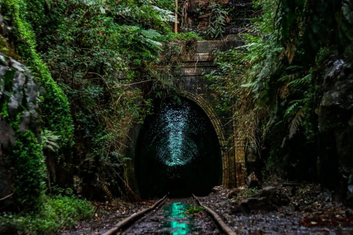 Kukacok világítanak ebben az elhagyatott alagútban