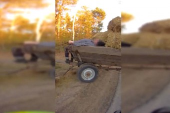 Alkoholmérgezéssel kapcsoltak le egy közlekedőt a rendőrök