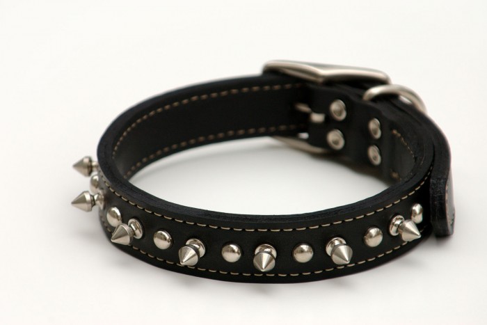 Pórázra verik az utasokat ezen a buszon