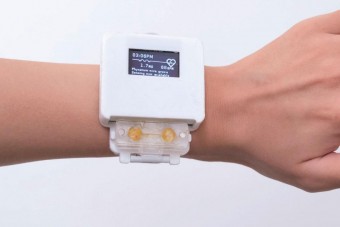 Igazi élőlényről kell gondoskodni a tamagocsi modern utódjában