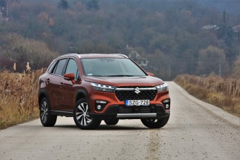 Zűrös év után ezek a legsikeresebb márkák a hazai autópiacon