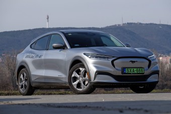 Mire jó a család leggyengébb tagja?