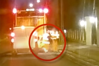 Az életéért kellett ugrania a kukásnak Budakeszin