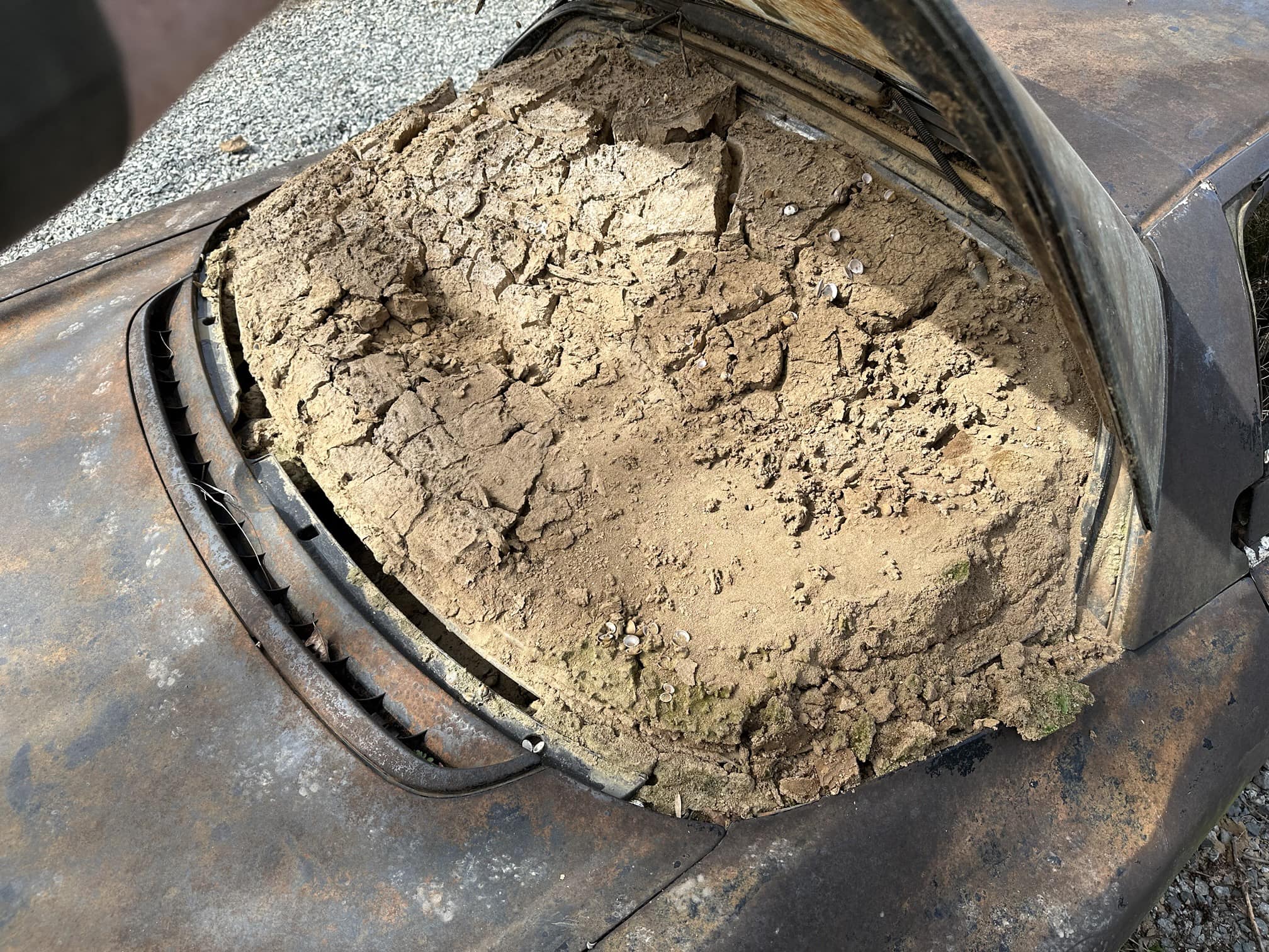 Iszappal teli autóroncsért fizettek 3 milliót 2