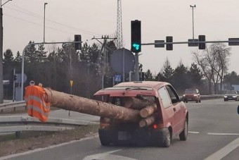 Ilyet még nem láttunk: a faszállítás fekete öves bajnokát kapták el a lengyel rendőrök